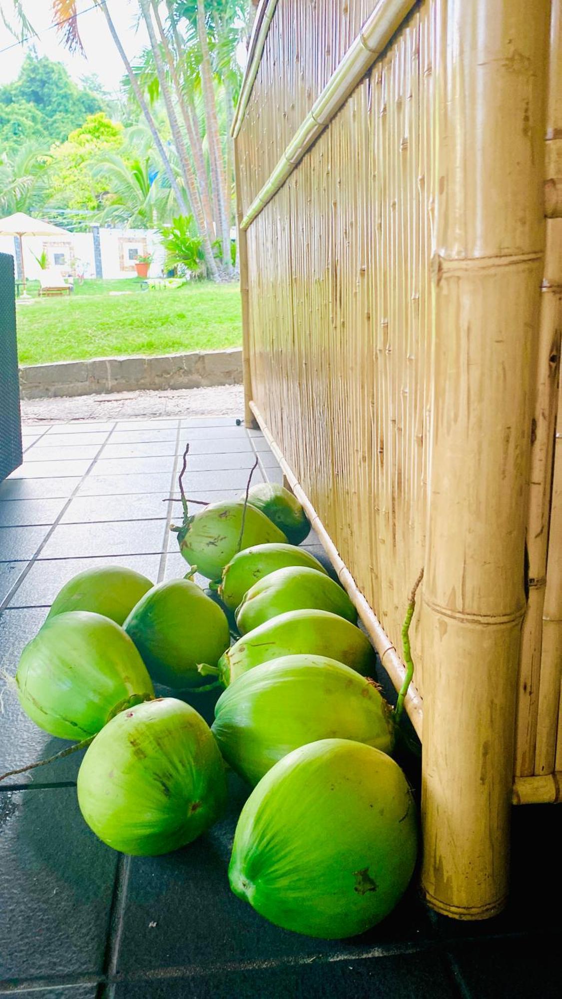 Jaguar House Resort Muine موي ني المظهر الخارجي الصورة