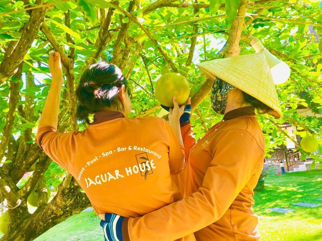 Jaguar House Resort Muine موي ني المظهر الخارجي الصورة